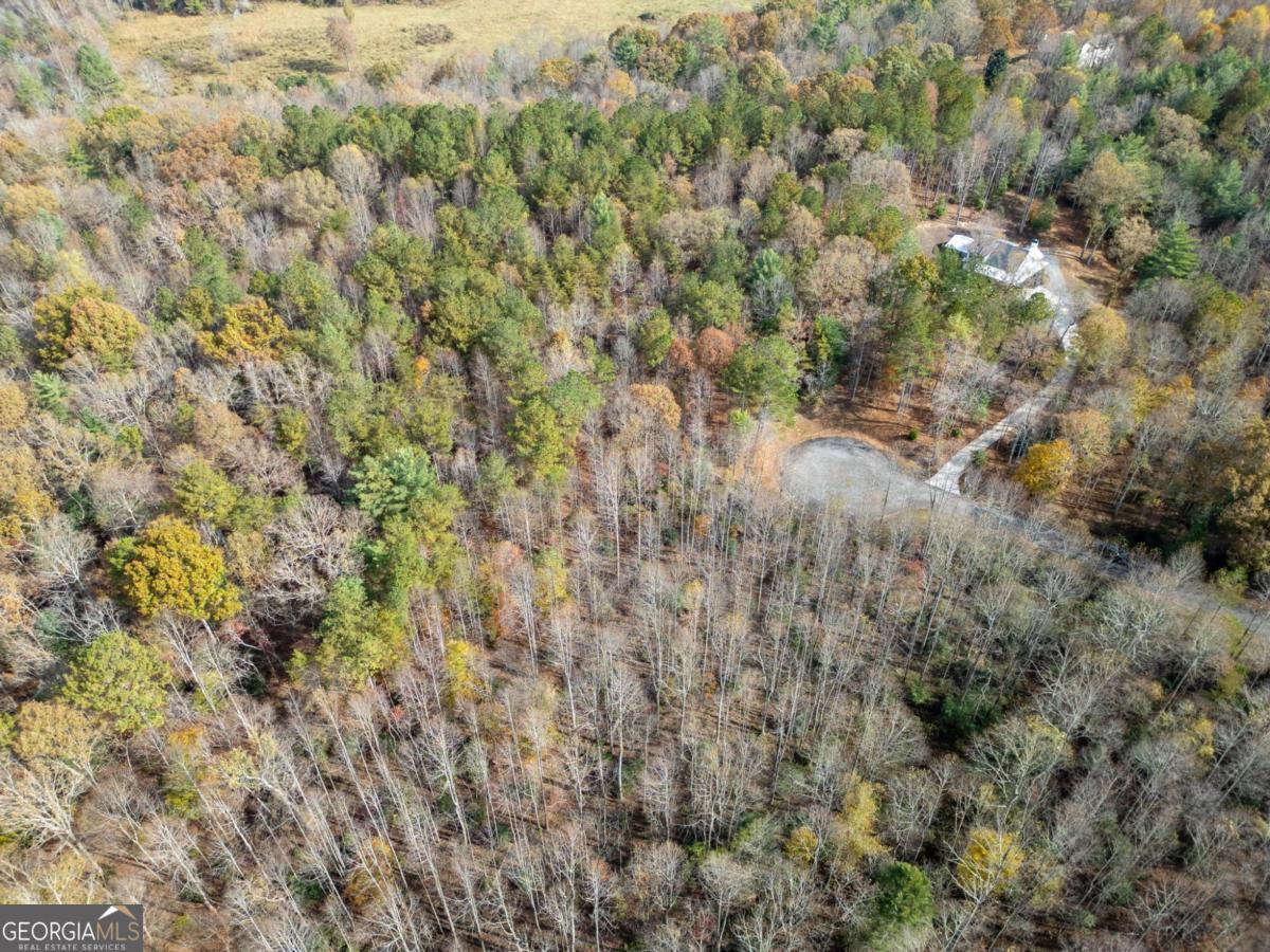 Lot 7 Highpoint Ridge Road, Unit 7 Ellijay, GA 30536 - Photo 22 of 29 a view of a forest with a tree