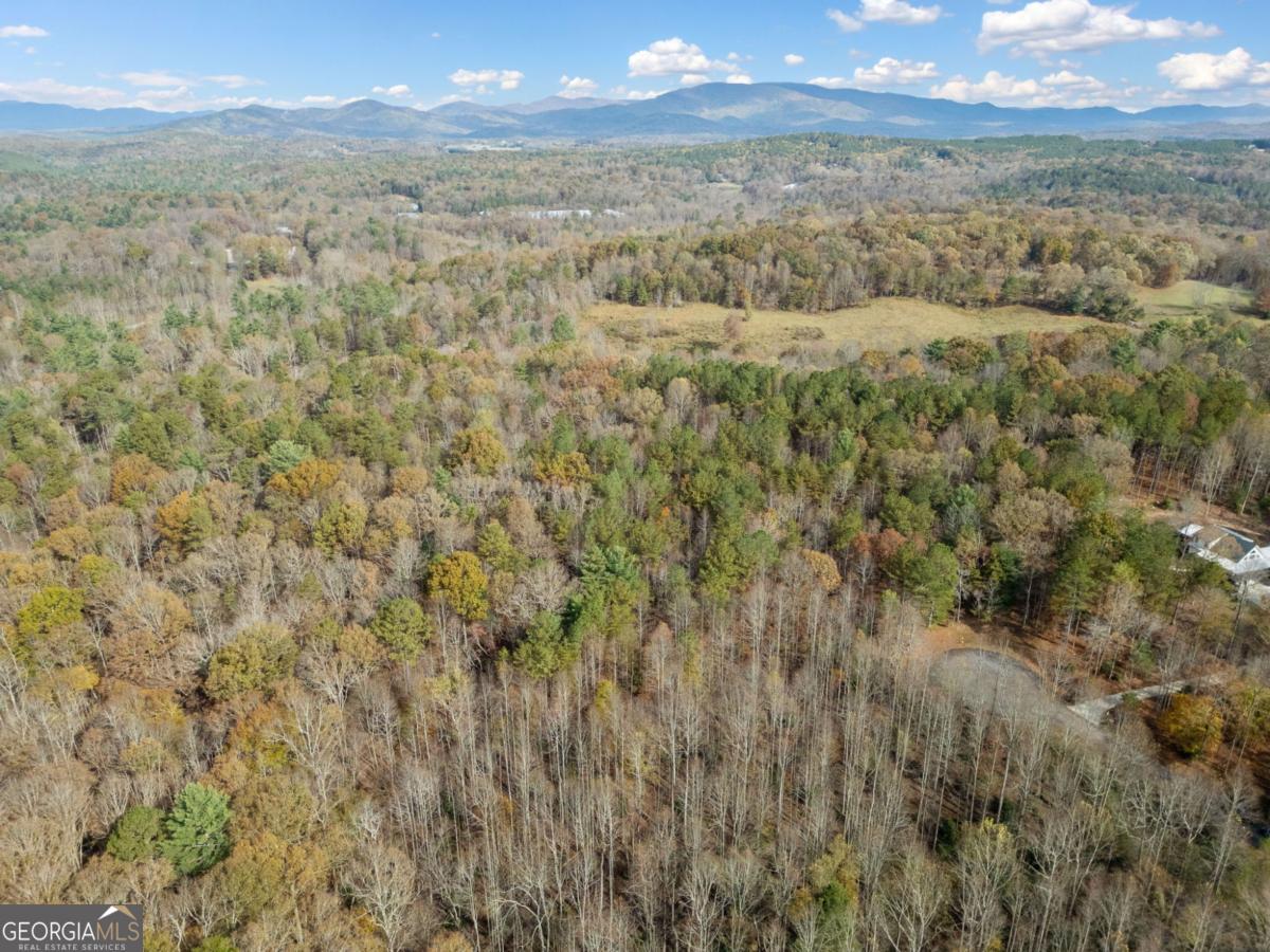 Lot 7 Highpoint Ridge Road, Unit 7 Ellijay, GA 30536 - Photo 23 of 29 a view of city and green space
