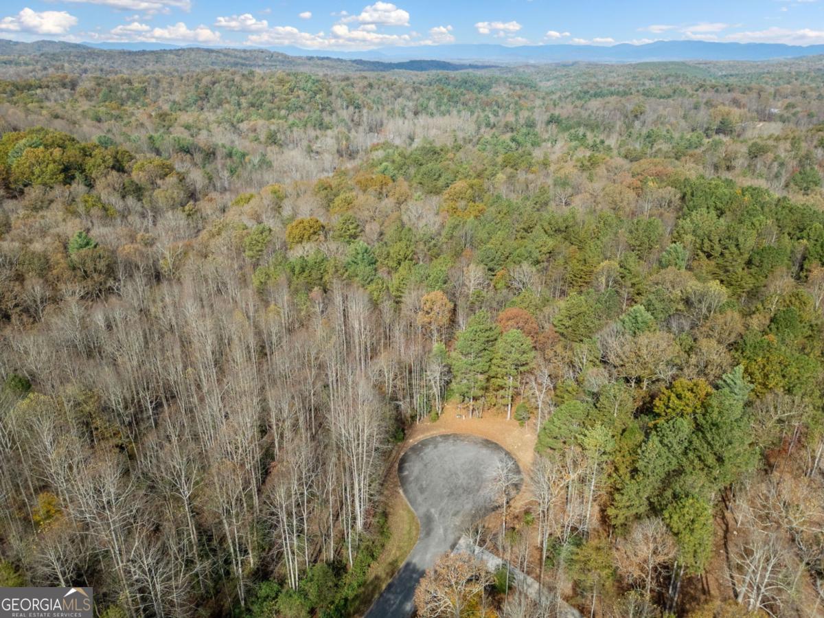 Lot 7 Highpoint Ridge Road, Unit 7 Ellijay, GA 30536 - Photo 24 of 29 a view of a yard with an outdoor space and trees