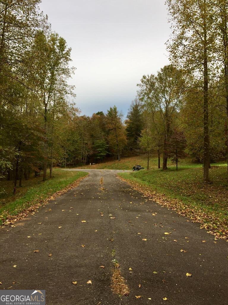 Lot 7 Highpoint Ridge Road, Unit 7 Ellijay, GA 30536 - Photo 27 of 29 a view of a park