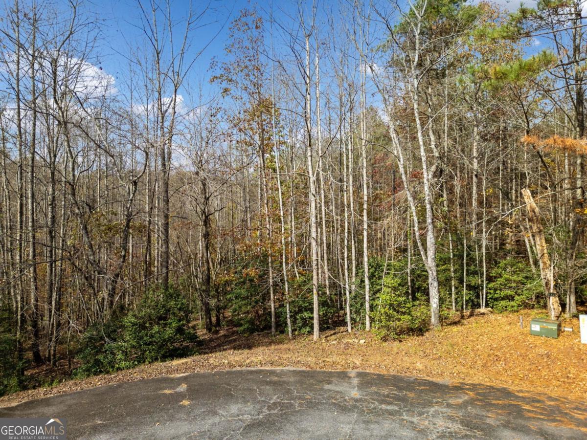 Lot 7 Highpoint Ridge Road, Unit 7 Ellijay, GA 30536 - Photo 4 of 29 a view of a backyard of the house