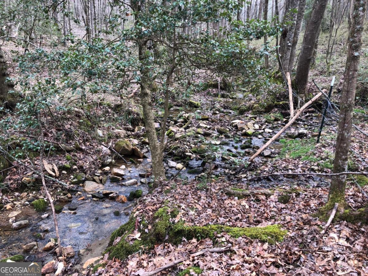 Lot 7 Highpoint Ridge Road, Unit 7 Ellijay, GA 30536 - Photo 7 of 29 a view of a large yard with lots of green space