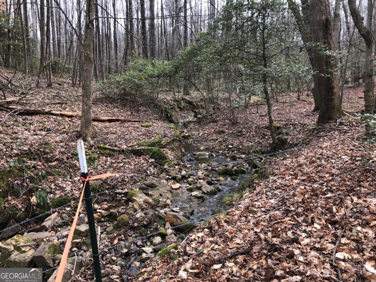 Lot 7 Highpoint Ridge Road, Unit 7 Ellijay, GA 30536 - Photo 8 of 29 a view of a forest with trees