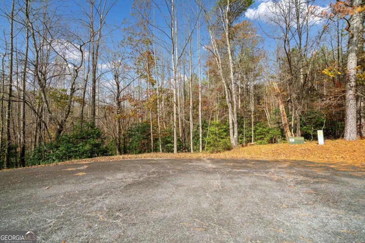 Lot 7 Highpoint Ridge Road, Unit 7 Ellijay, GA 30536 - Photo 9 of 29 a view of outdoor space with trees
