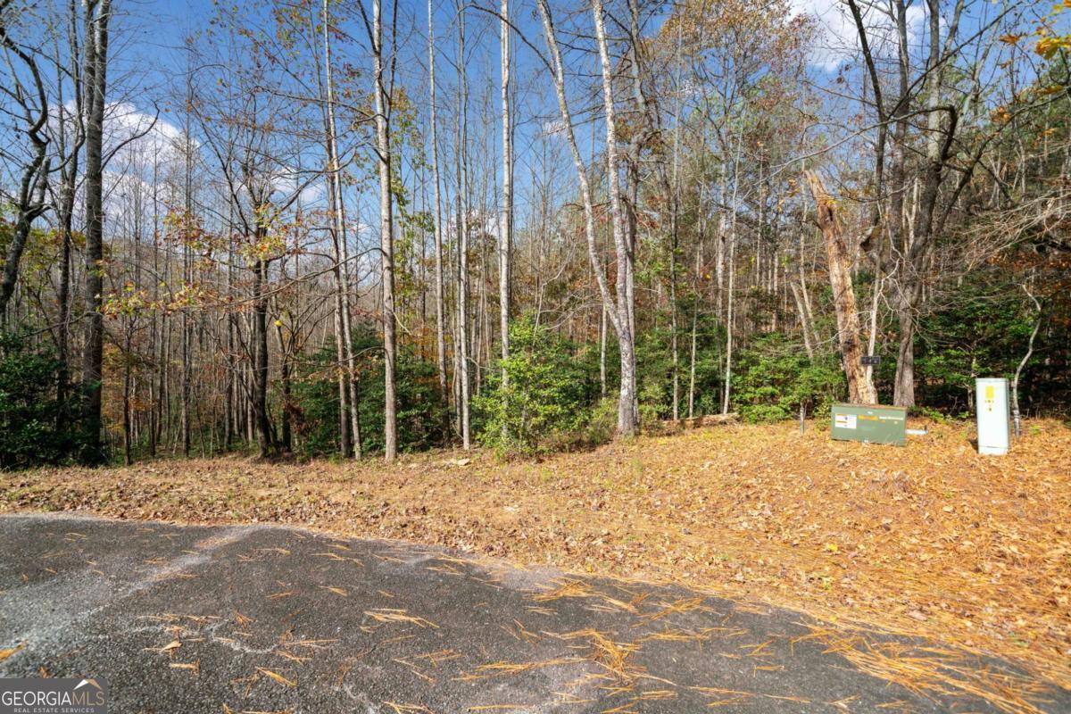 Lot 7 Highpoint Ridge Road, Unit 7 Ellijay, GA 30536 - Photo 10 of 29 a street view covered with trees