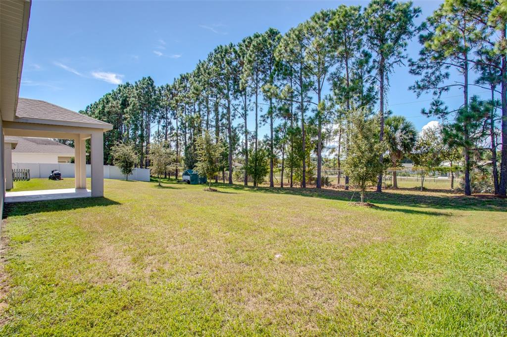 2520 Plumadore Drive Grand Island, FL 32735 - Photo 19 of 19 a swimming pool with outdoor seating and yard