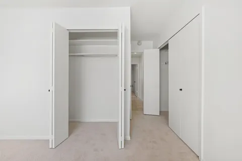 a view of a park with large trees