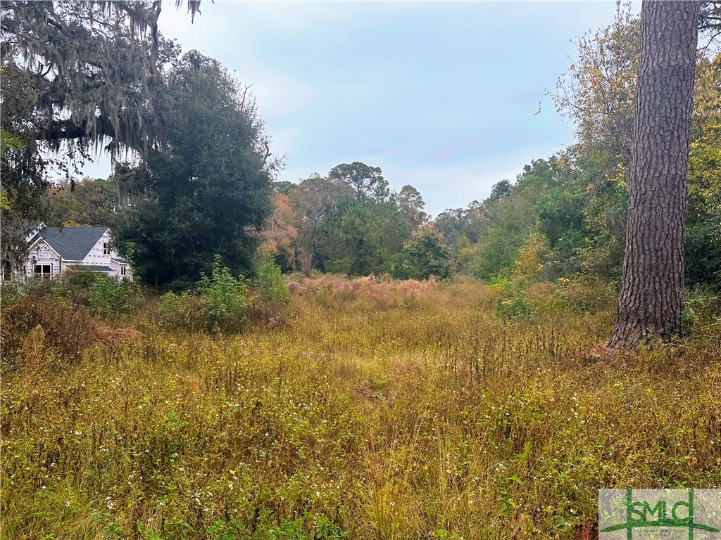 14116 Coffee Bluff Road, Unit B Savannah, GA 31419 - Photo 6 of 12