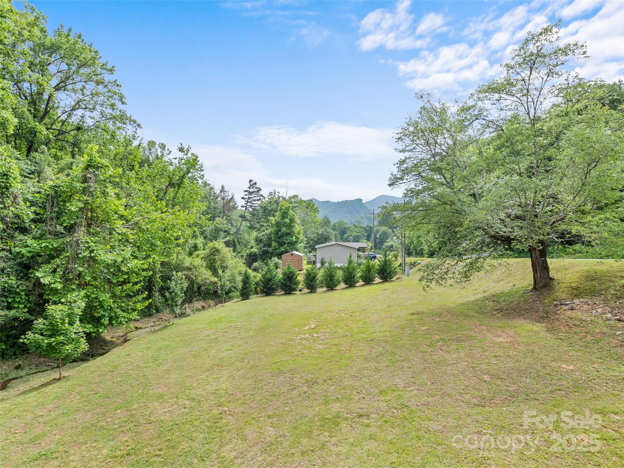229 Yellow Bird Br Road Sylva, NC 28779 - Photo 28 of 34 a view of a yard with a tree