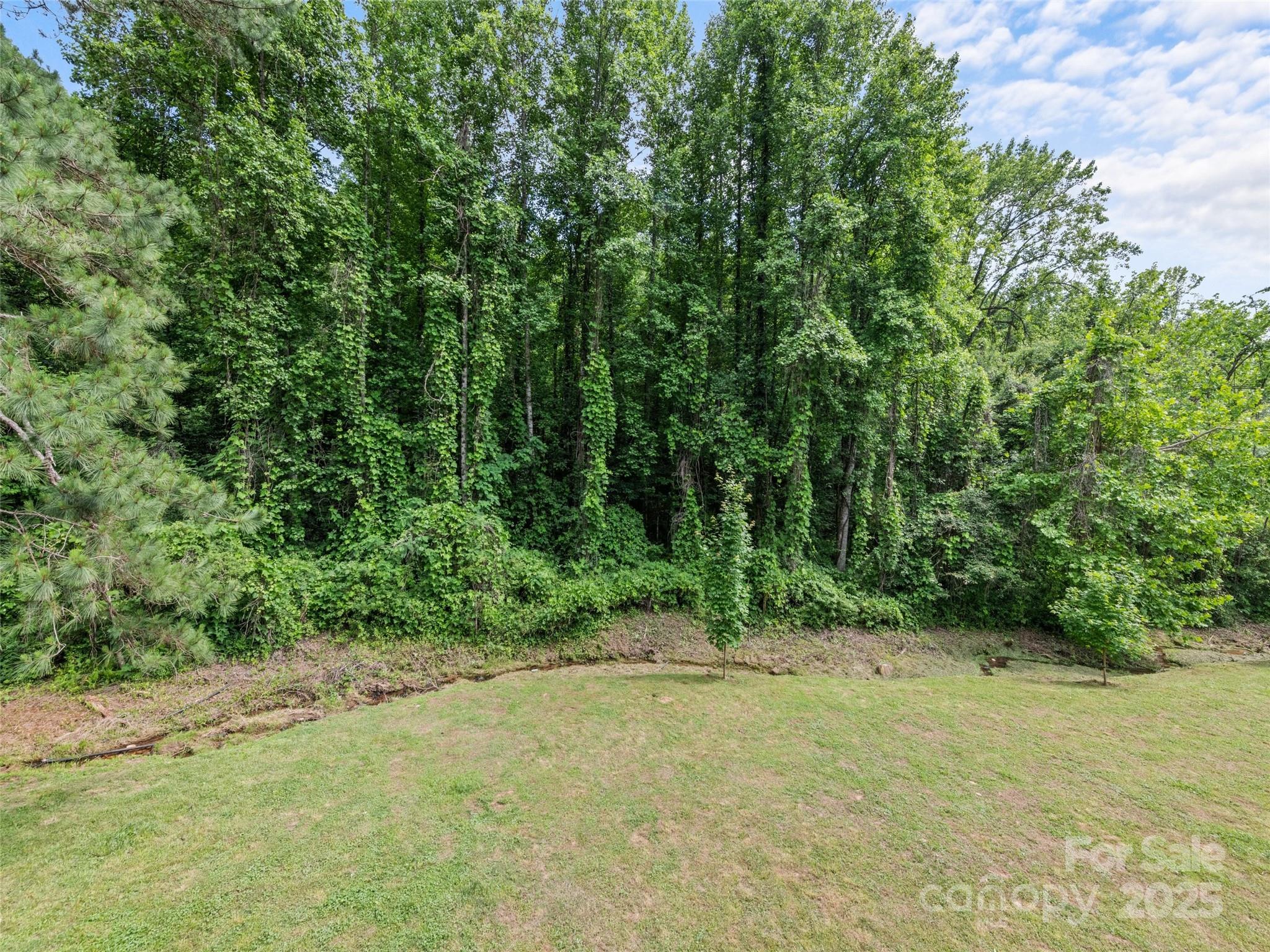229 Yellow Bird Br Road Sylva, NC 28779 - Photo 29 of 34 a view of a yard with a tree