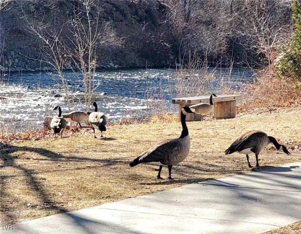 611 Nixon Avenue Reno, NV 89509 - Photo 36 of 40