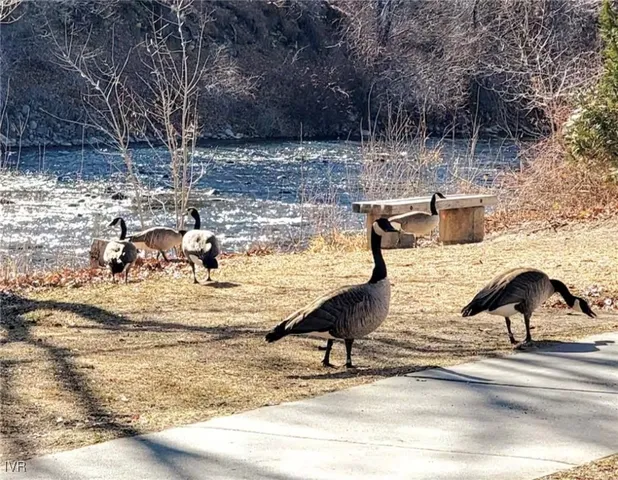 $800,000 | 611 Nixon Avenue, Reno, NV 89509