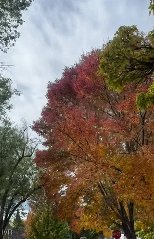 a bathroom with a toilet sink and a shower curtain