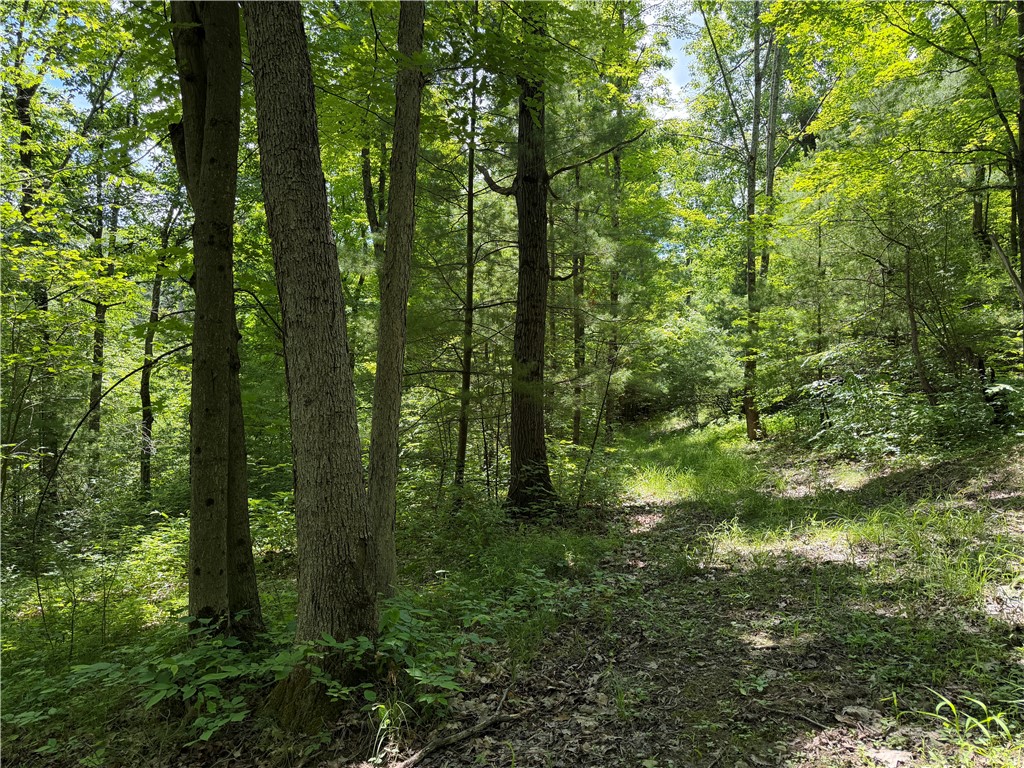 Vl Catatunk Road, Unit R Canisteo, NY 14823 - Photo 31 of 50