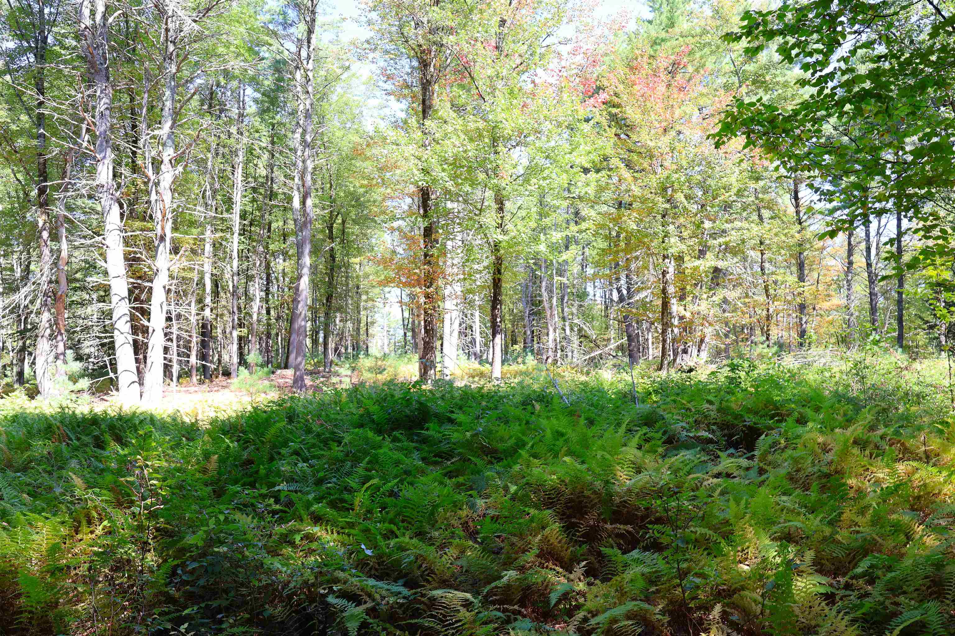 527 Neal Road Hartford, VT 05001 - Photo 54 of 59 Gallery Image 54