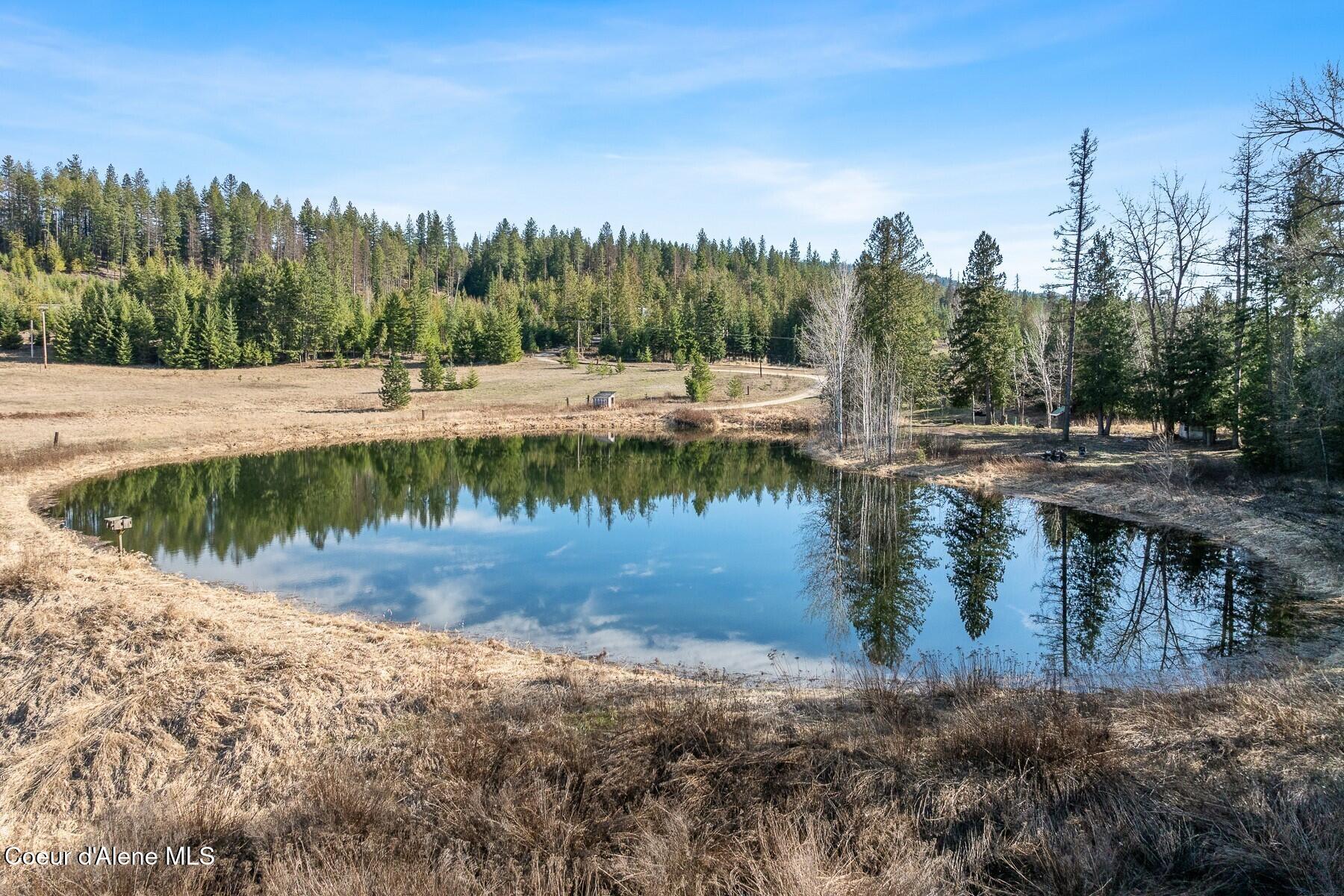 233 James Road Sagle, ID 83860 - Photo 11 of 17 Pond from Ground Level