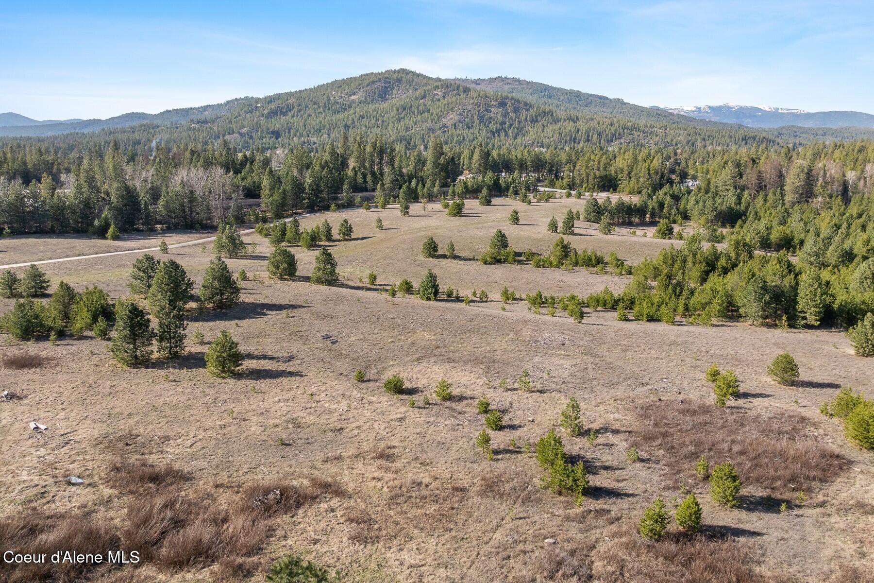 233 James Road Sagle, ID 83860 - Photo 14 of 17 Open Meadow Land