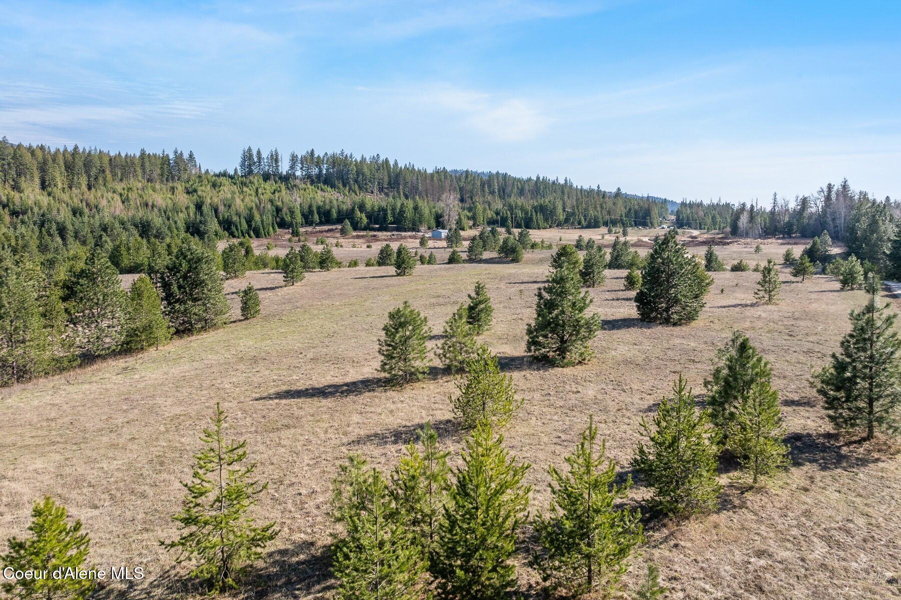 233 James Road Sagle, ID 83860 - Photo 16 of 17 Open Grazing Fields