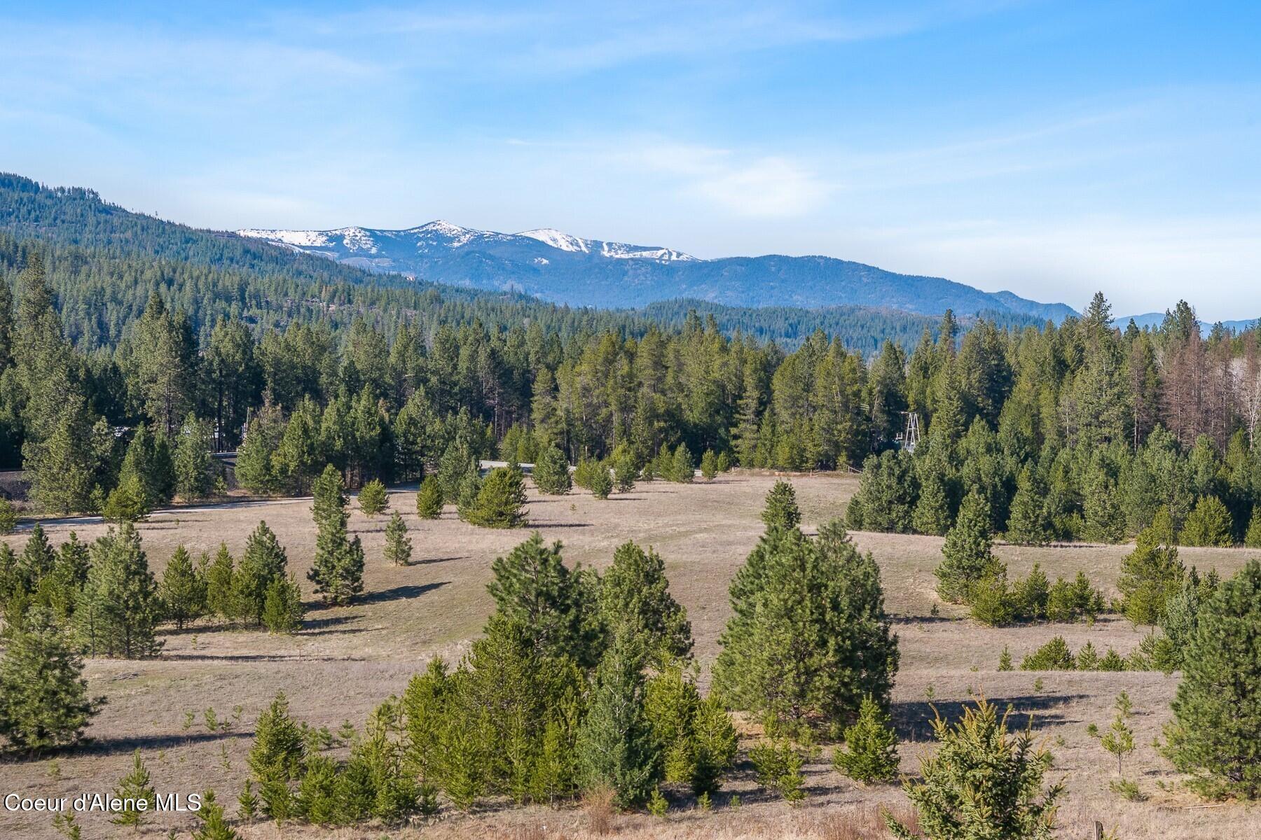 233 James Road Sagle, ID 83860 - Photo 17 of 17 017_Snow-Capped Mountain Views