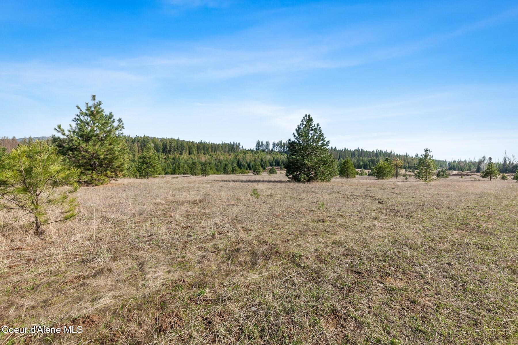 233 James Road Sagle, ID 83860 - Photo 2 of 17 Open Pasture Land