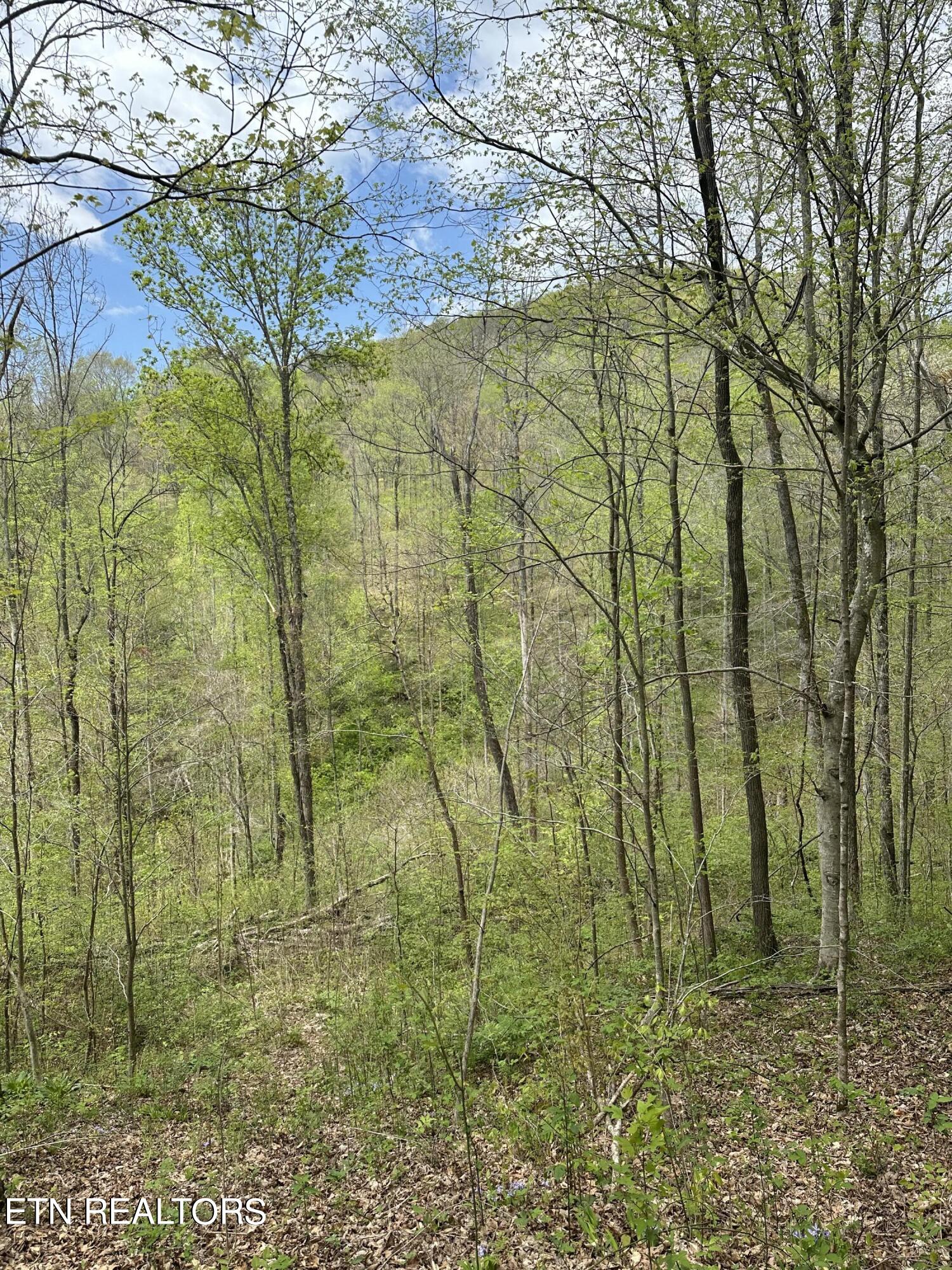 Holden Hollow Road Jamestown, TN 38556 - Photo 1 of 16 Mountain View
