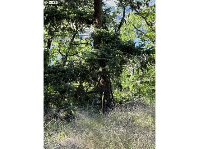 $329,000 | Coyote Court, Unit 44, Mosier, OR 97040