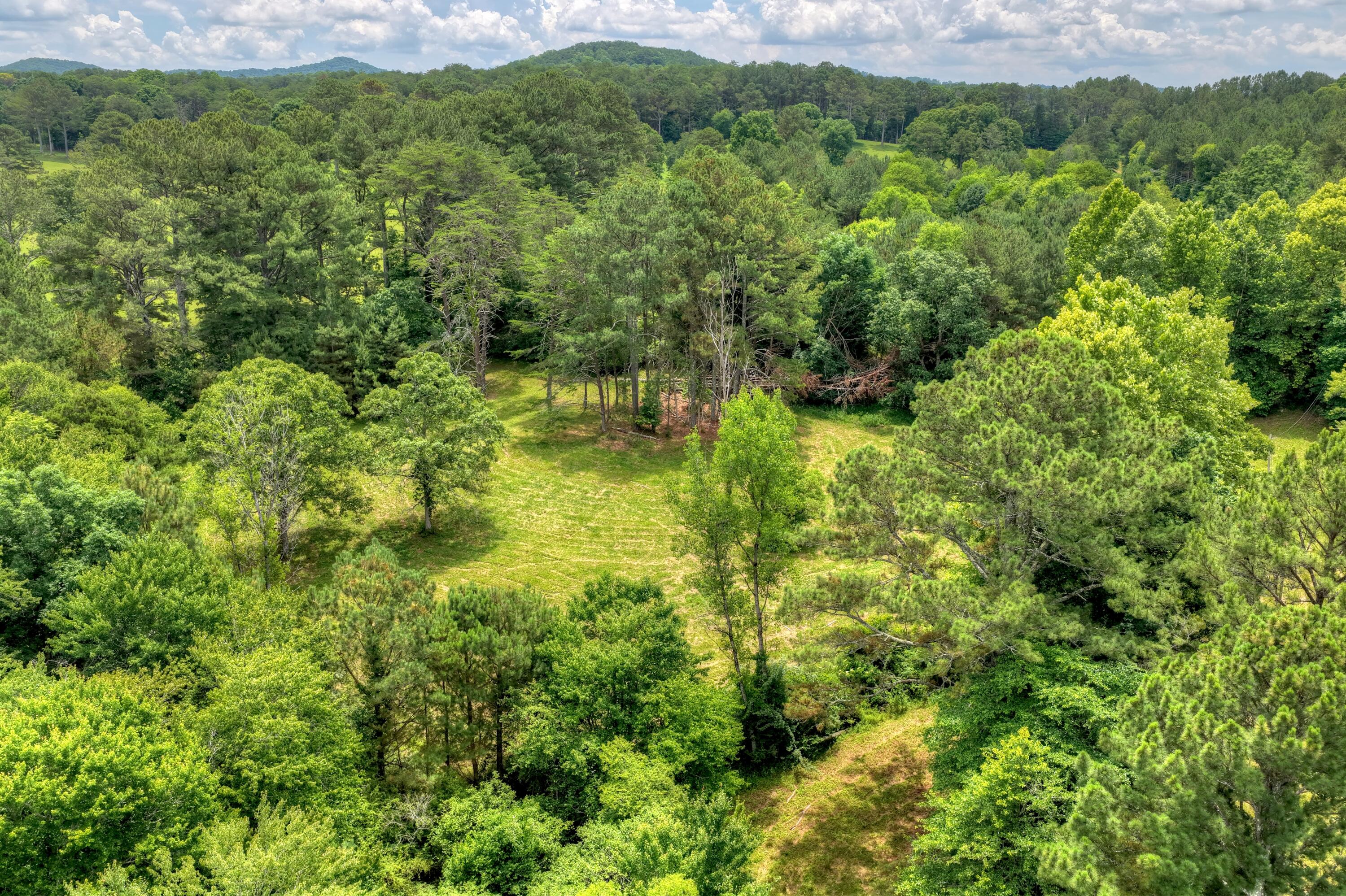 526 Airport Road Copperhill, TN 37317 - Photo 27 of 28 Airport Rd Byrd Property (27)