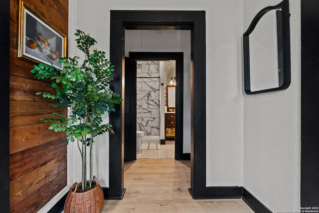 a potted plant in front of a door