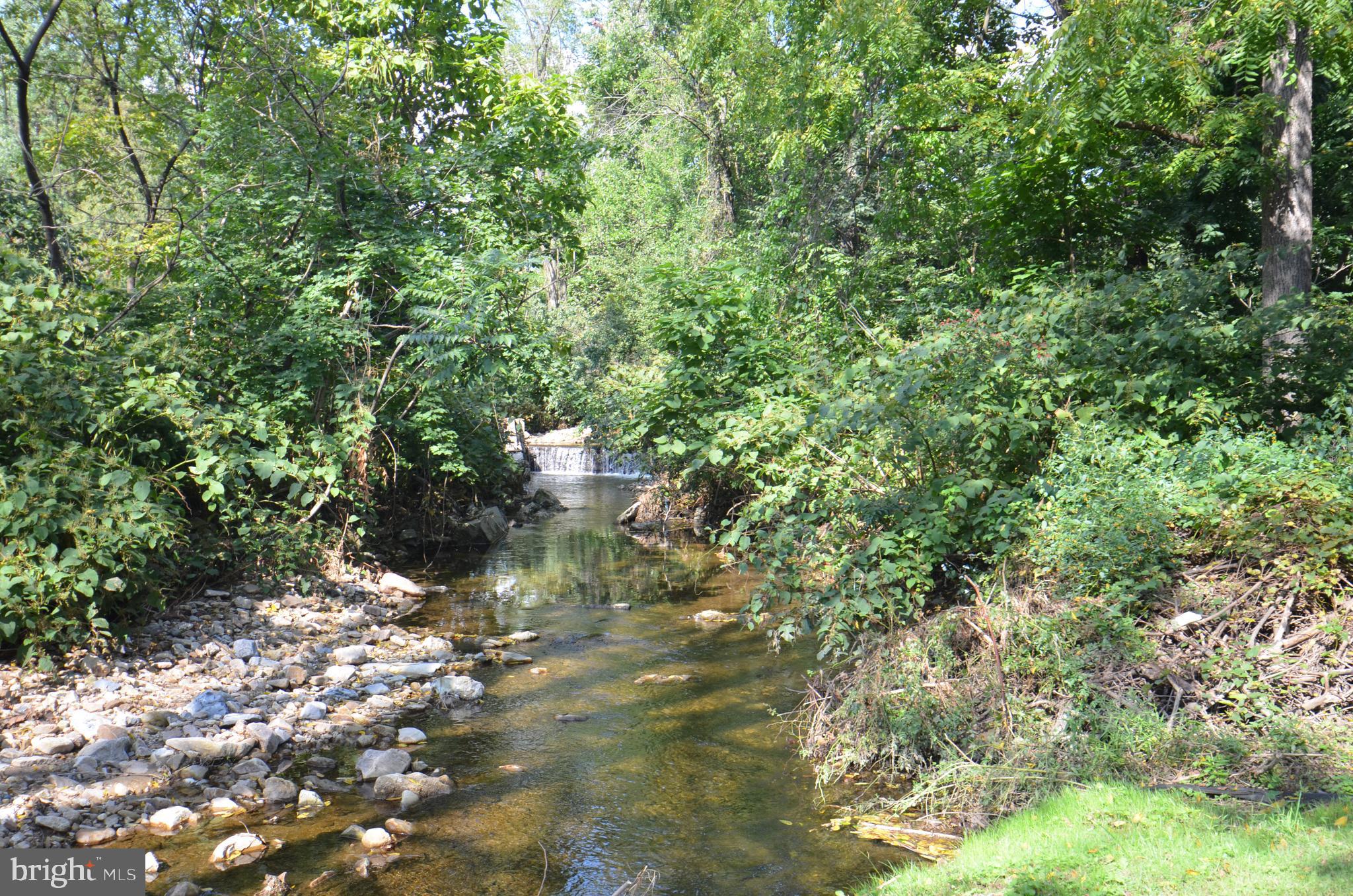 1203 Mount Laurel Road Temple, PA 19560 - Photo 3 of 19