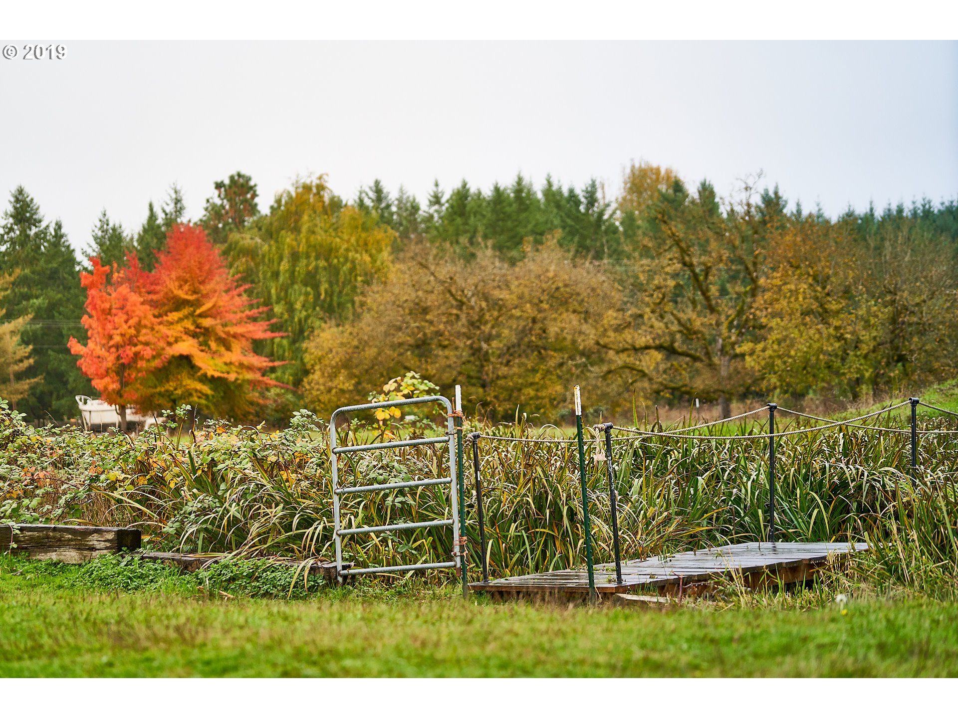 14953 South Macksburg Road Molalla, OR 97038 - Photo 25 of 32 Gallery Image 25
