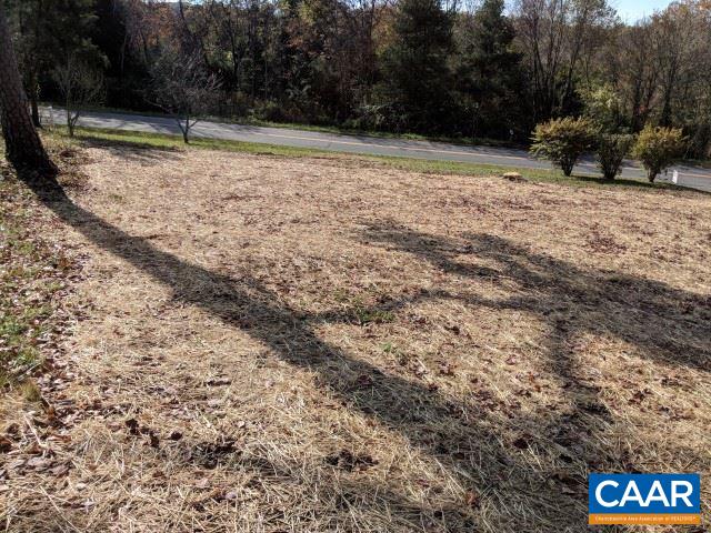 982 Dunnes Shop Road Ruckersville, VA 22968 - Photo 15 of 19 a view of outdoor space with trees