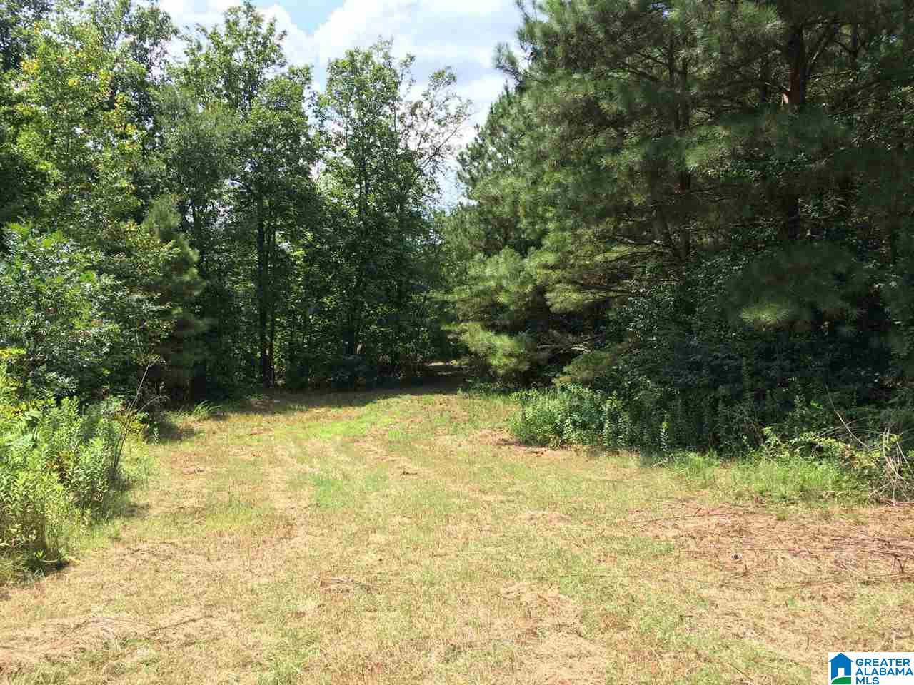 Spunky Hollow Road, Unit 18 7 Oneonta, AL 35121 - Photo 9 of 46