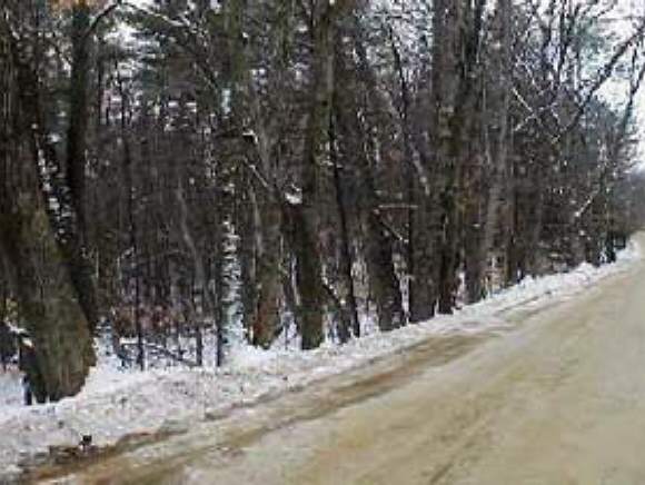 Xx Stockbridge Corner Road Alton, NH 03809 - Photo 1 of 2