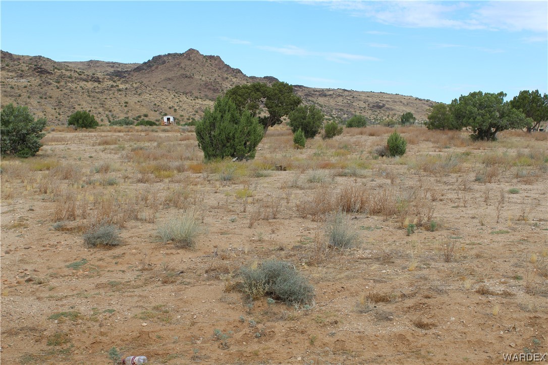 0 North Hoover Road Golden Valley, AZ 86413 - Photo 2 of 20 Gallery Image 2