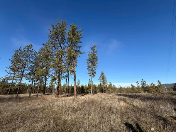 $81,000 | 7552 Kimberly Dr Way, Ford, WA 99013