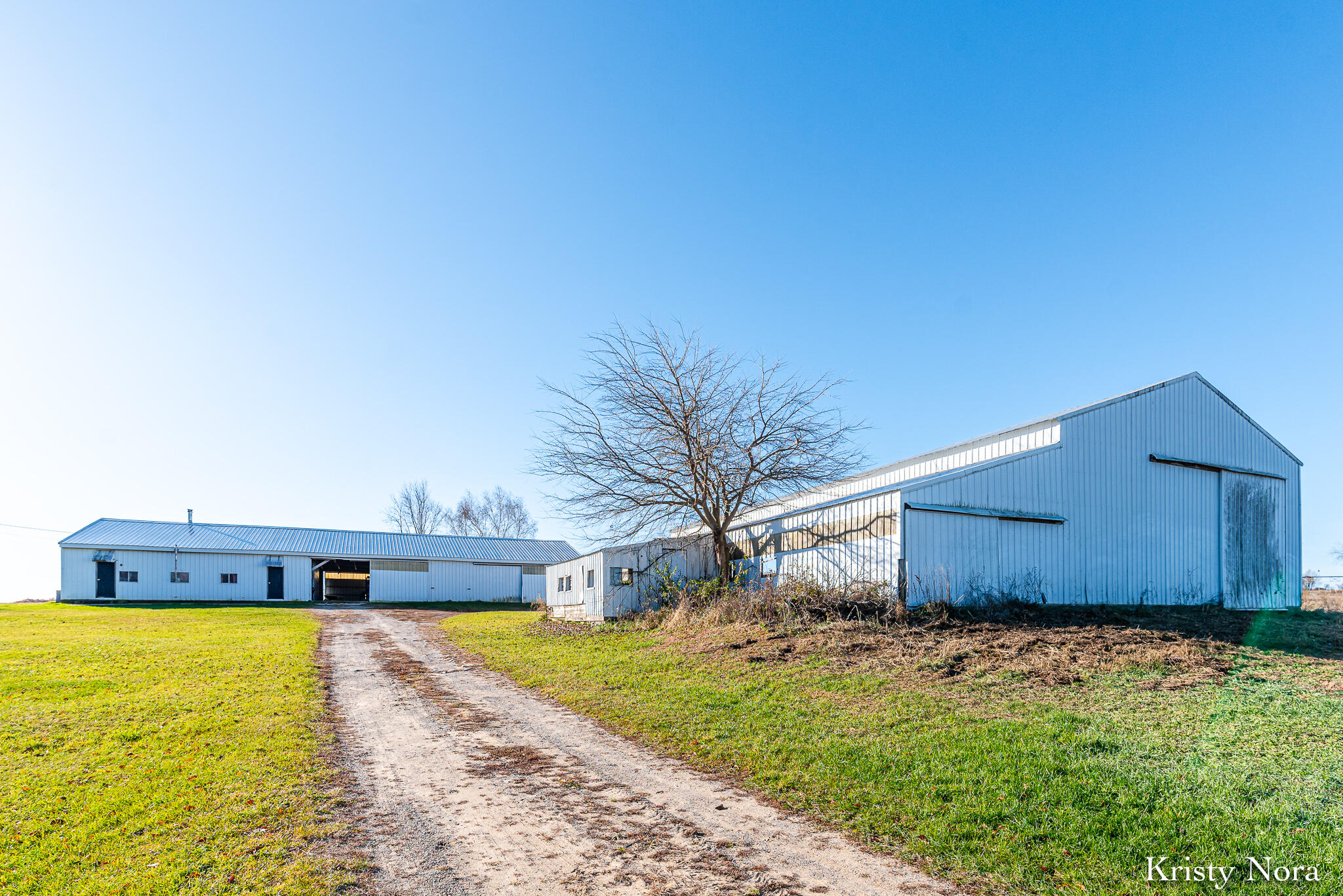 5878 East Cannonsville Road Stanton, MI 48888 - Photo 2 of 35 RHPRE_251113_002