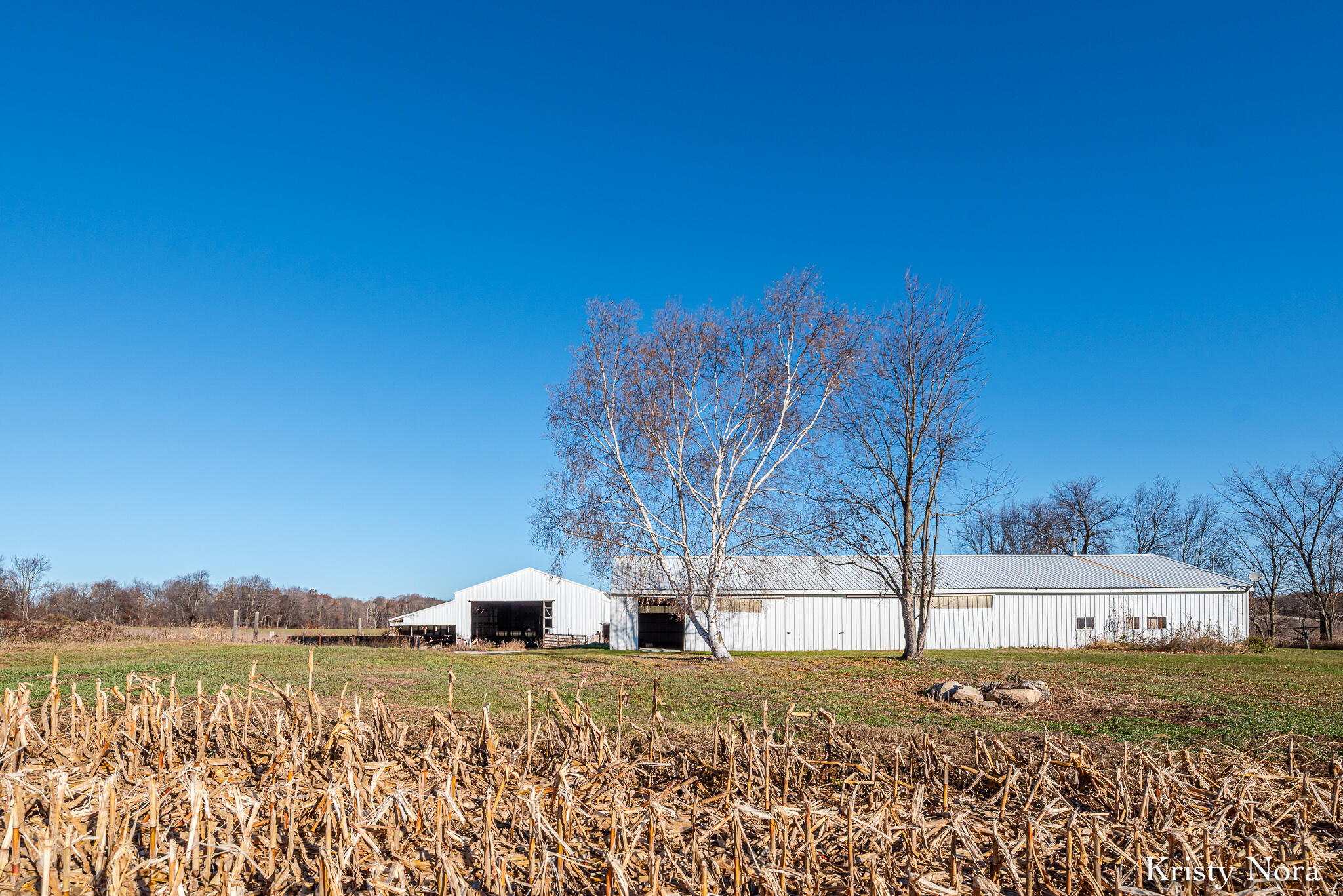 5878 East Cannonsville Road Stanton, MI 48888 - Photo 22 of 35 RHPRE_251113_015