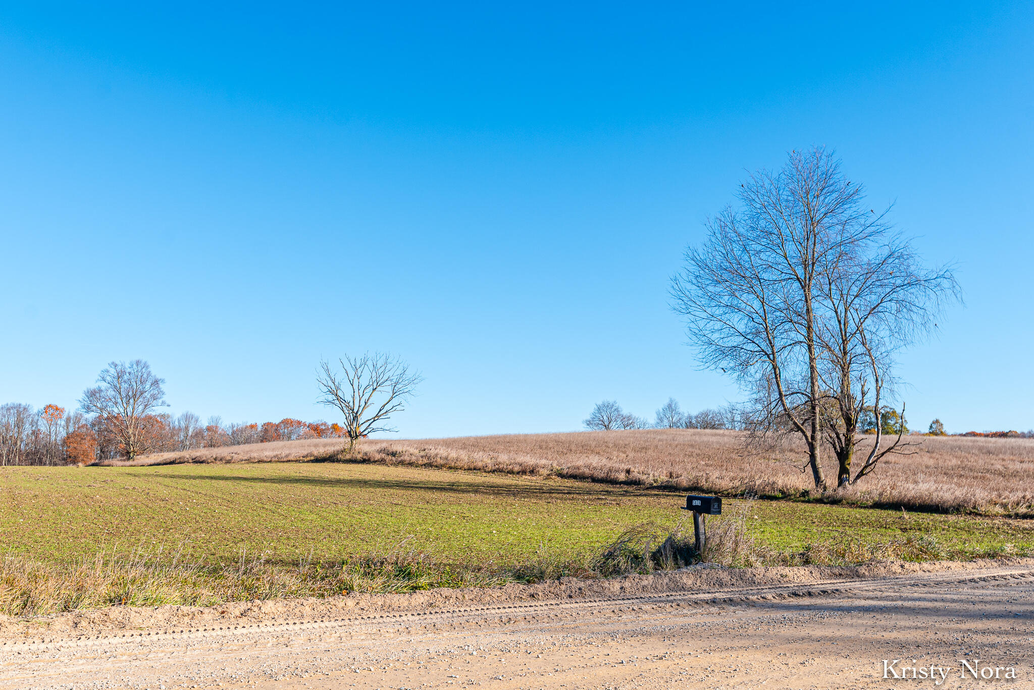 5878 East Cannonsville Road Stanton, MI 48888 - Photo 35 of 35 RHPRE_251113_028