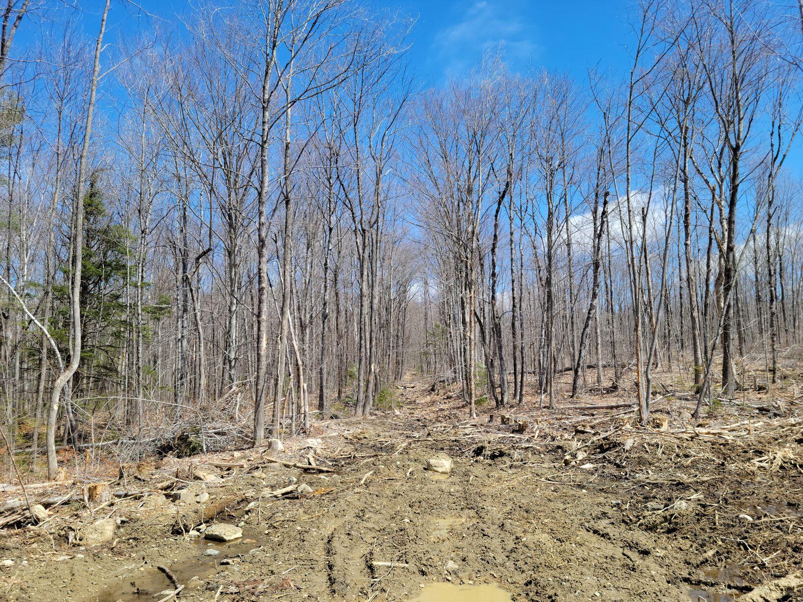 0 Farmer Road Wilton, ME 04294 - Photo 26 of 31 29Wilton old road