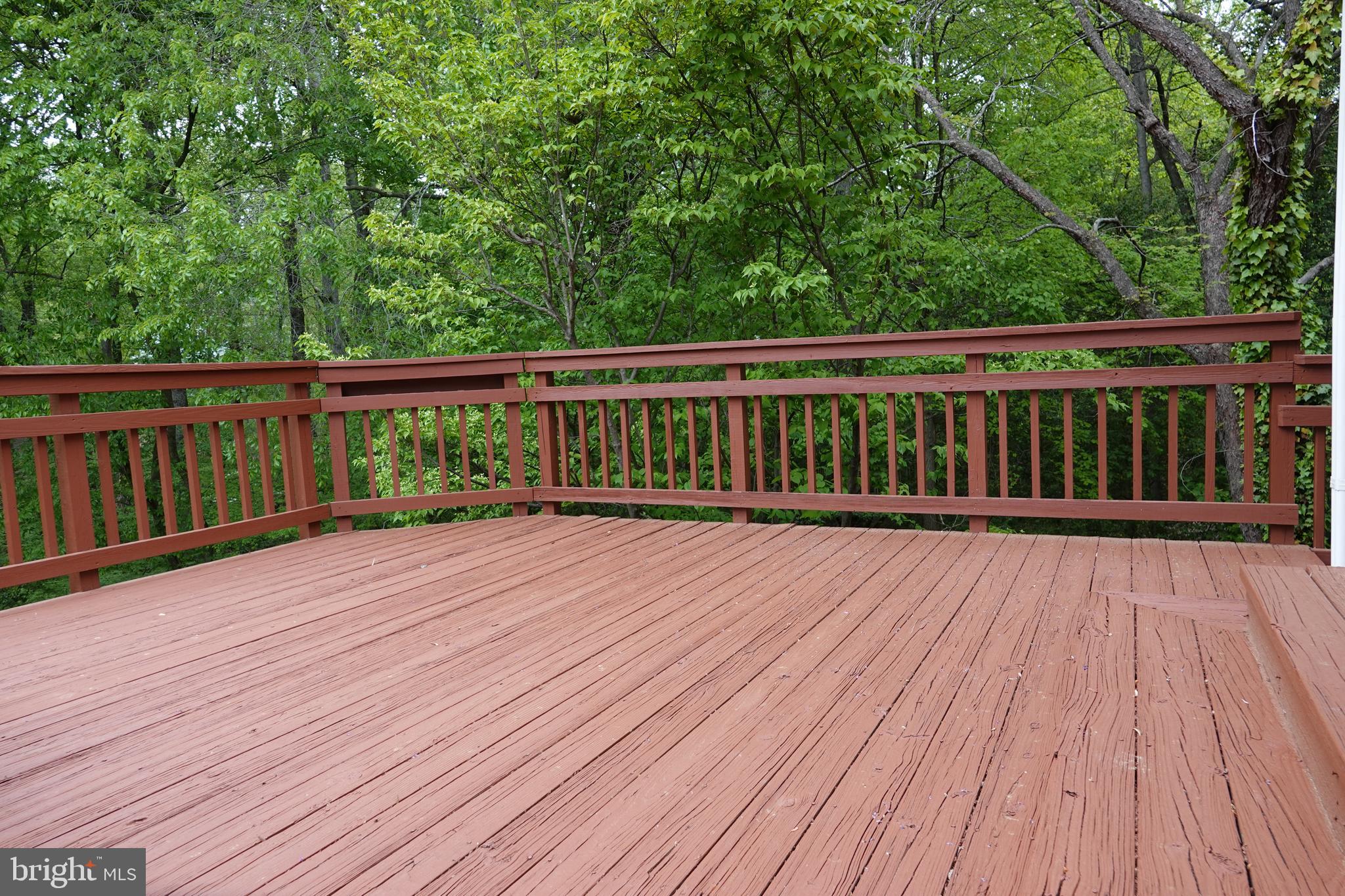 10295 Dunn Meadow Road Vienna, VA 22182 - Photo 37 of 37