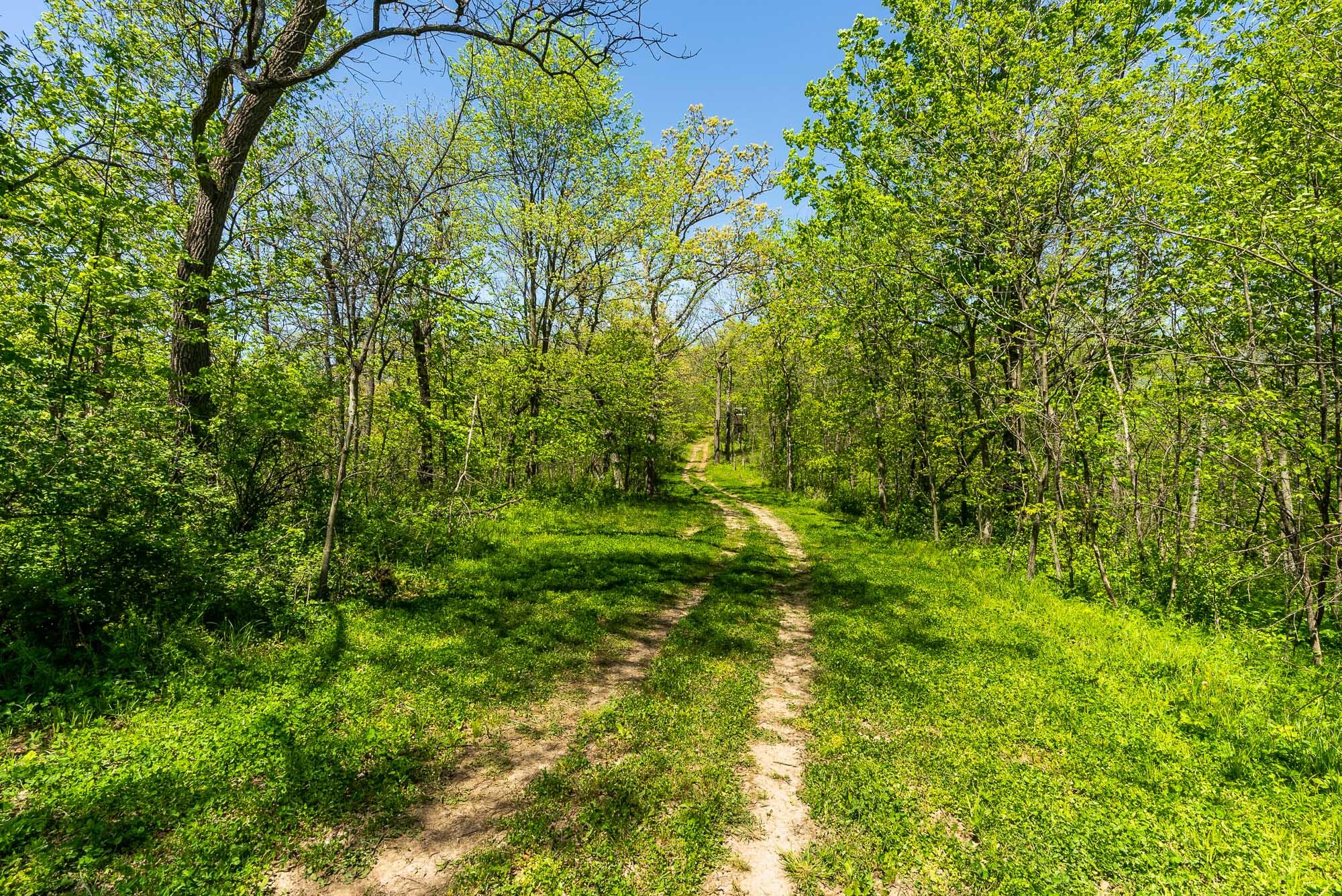 15999 Biba Road Muscoda, WI 53573 - Photo 97 of 103 Grant-County-WI-160-Acres-Land-For-Sale-