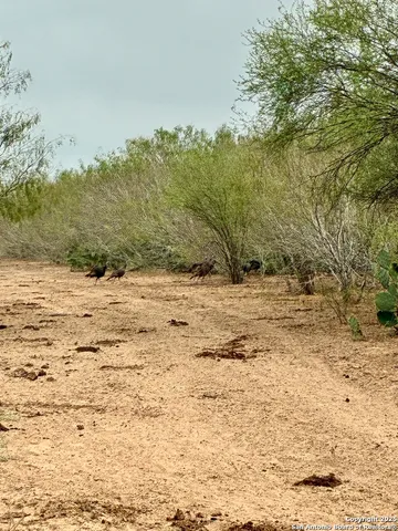 $599,500 | 2713 Fm 716, Premont, TX 78375