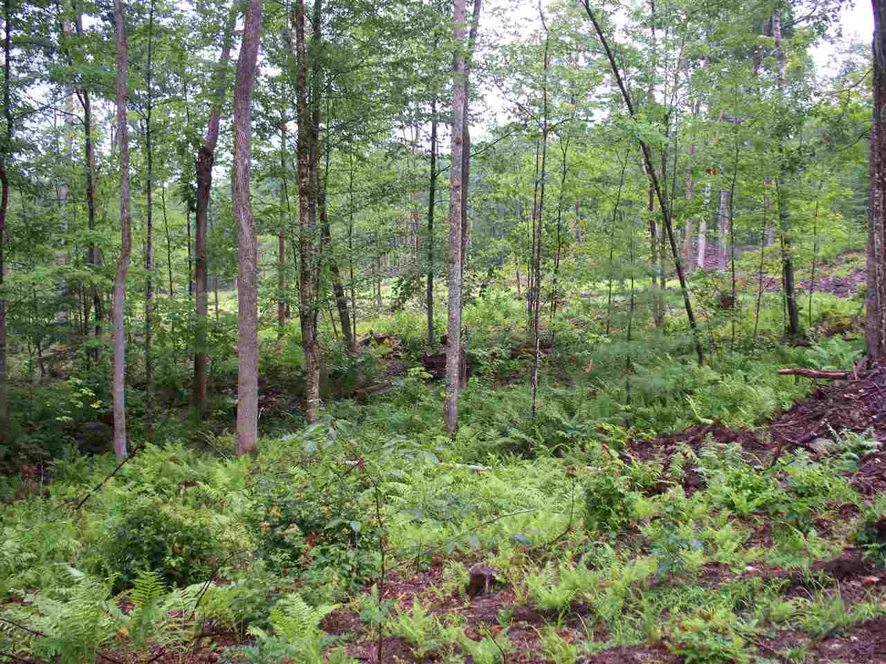 0 Smith Hill Road Franklin, NH 03235 - Photo 1 of 9