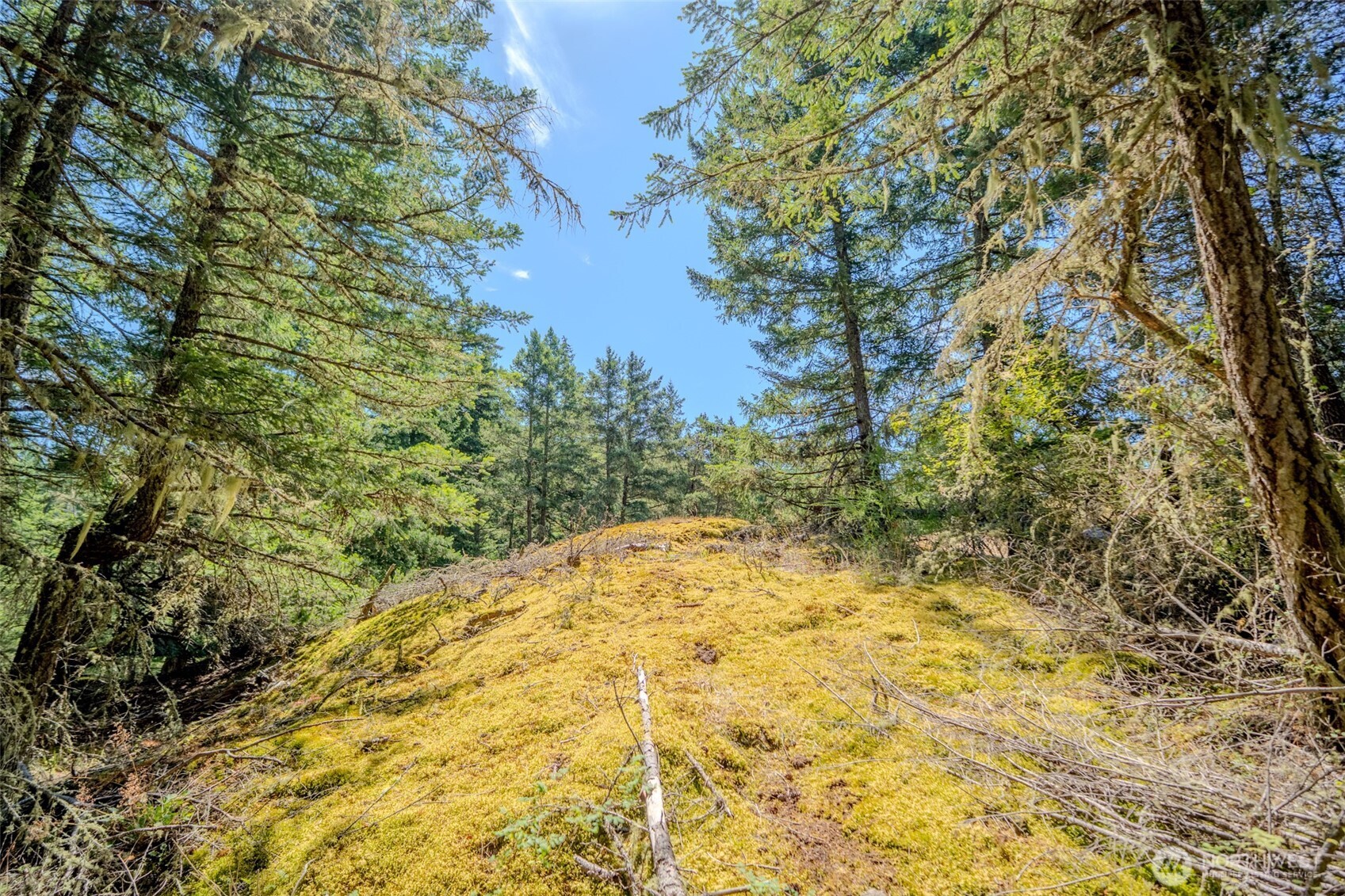 678 Swan Road Orcas Island, WA 98245 - Photo 35 of 39