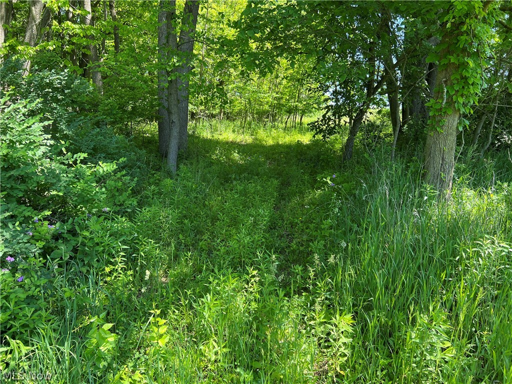 Shaw Road Spencer, OH 44275 - Photo 6 of 8