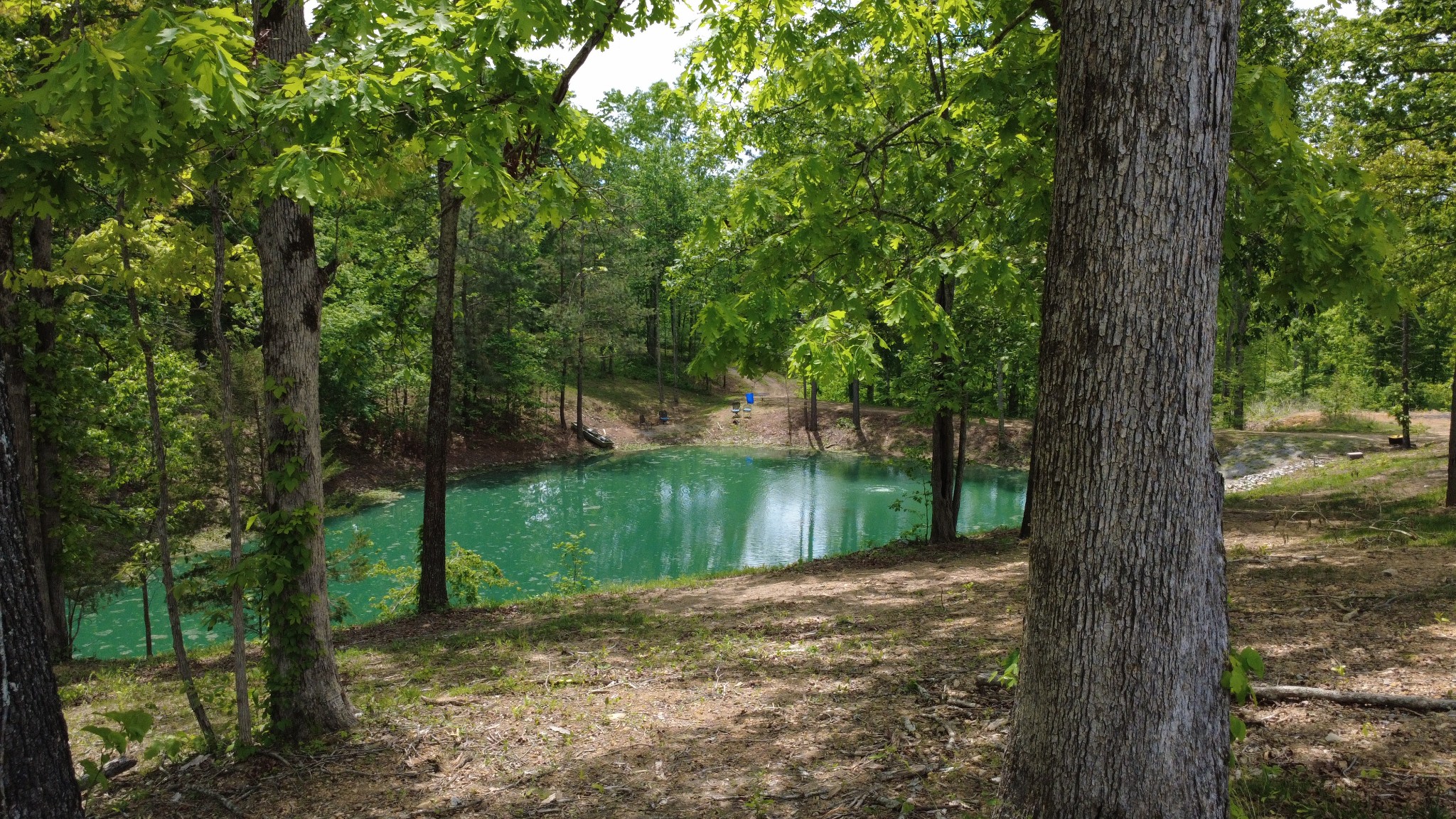 7948 Daugherty-Capley Road Primm Springs, TN 38476 - Photo 12 of 86