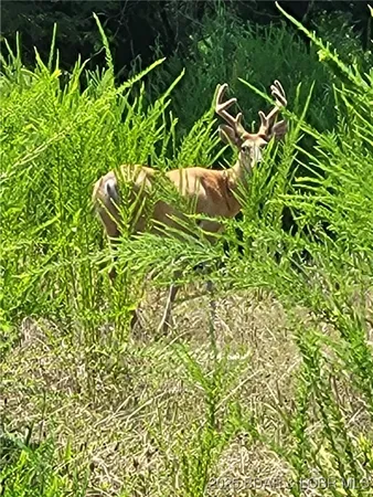 $5,000 | Bowden Place, Unit 1471, Edwards, MO 65326