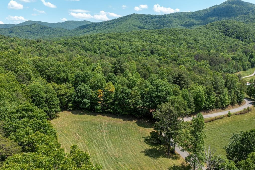 40 Donley Road Murphy, NC 28906 - Photo 12 of 14 Gallery Image 12