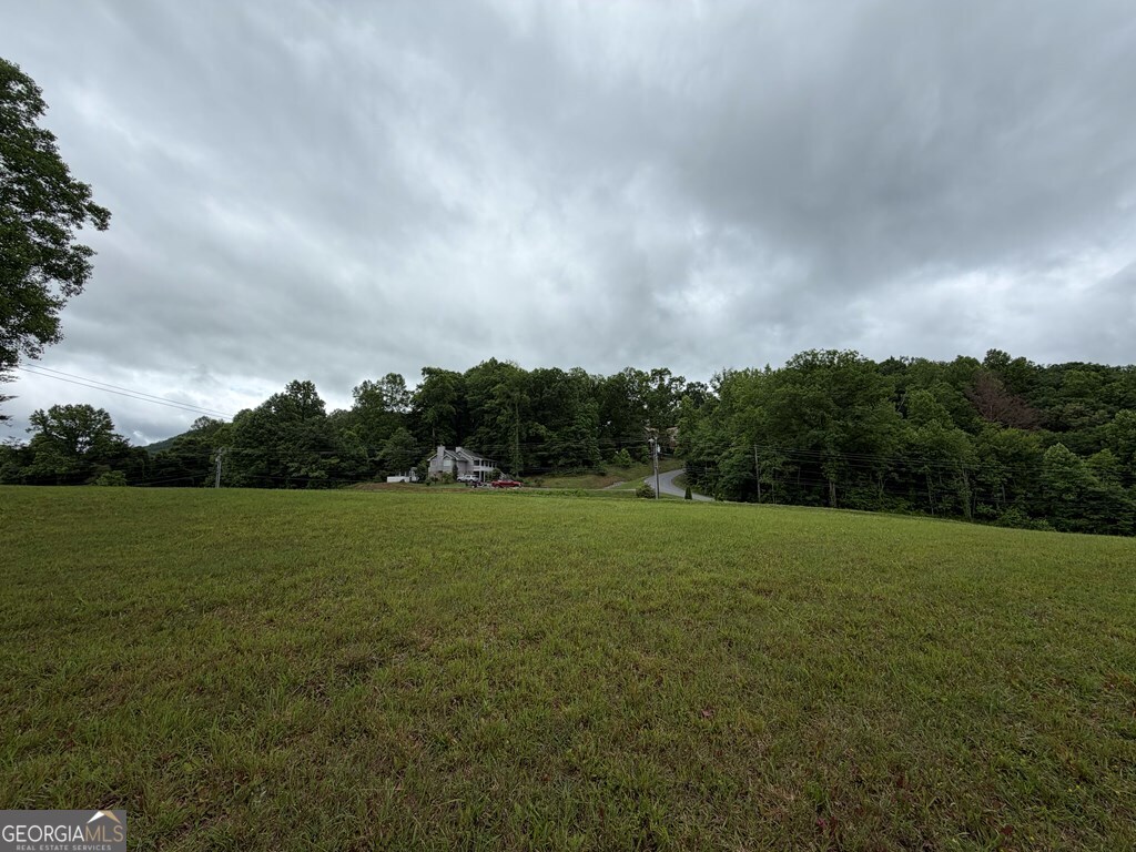 0 Drake Ridge Drive Hayesville, NC 28904 - Photo 3 of 4