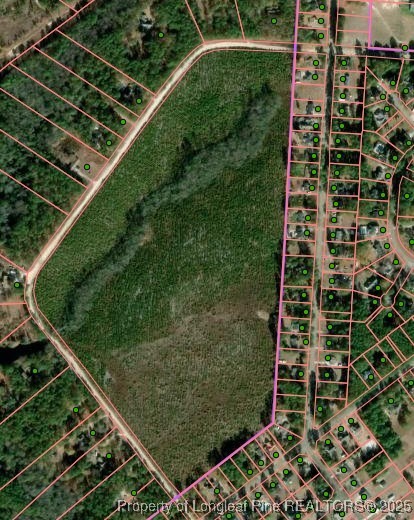 Tbd Plantation Road Laurinburg, NC 28352 - Photo 3 of 9